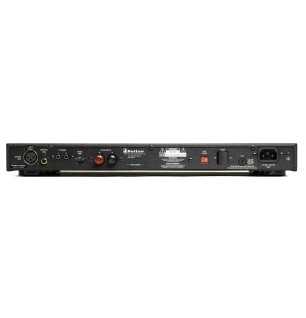Model 2200 Monoblock Amplifier: DISCONTINUED