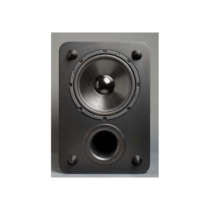 LFM-1 Compact Subwoofer: Discontinued