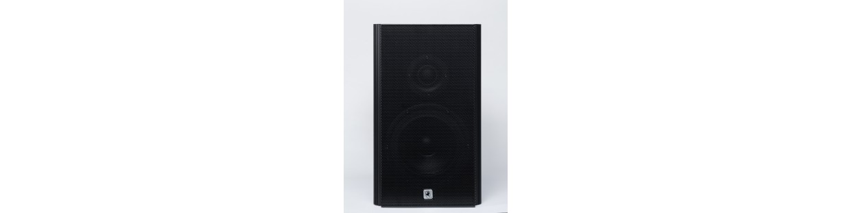 Speakers & Subwoofers